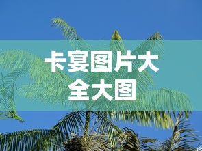 卡宴图片大全大图  第1张