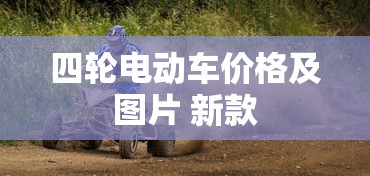 四轮电动车价格及图片 新款  第1张