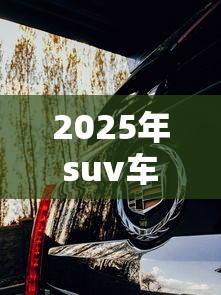 2025年suv车排行榜前十名  第1张