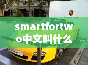 smartfortwo中文叫什么牌子  第1张