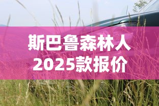斯巴鲁森林人2025款报价及图片  第1张