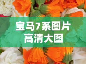 宝马7系图片高清大图  第1张
