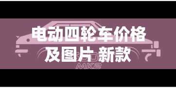电动四轮车价格及图片 新款  第1张