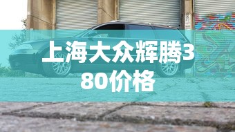 上海大众辉腾380价格  第1张