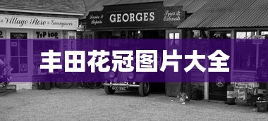 丰田花冠图片大全  第1张