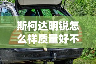斯柯达明锐怎么样质量好不好  第1张
