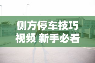 侧方停车技巧视频 新手必看  第1张