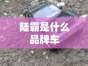 陆霸是什么品牌车  第1张