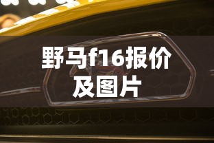 野马f16报价及图片  第1张