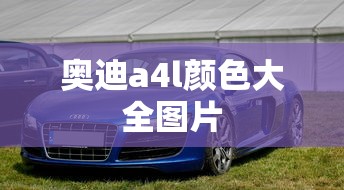 奥迪a4l颜色大全图片  第1张