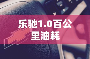 乐驰1.0百公里油耗  第1张