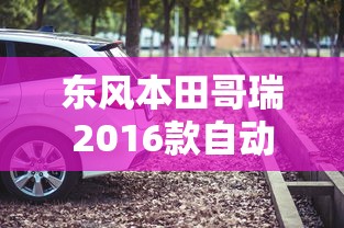 天花板短剧100集在线观看  第1张