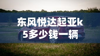 东风悦达起亚k5多少钱一辆  第1张