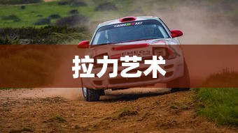 拉力艺术  第1张