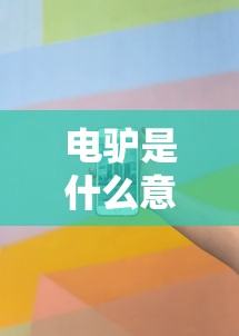 电驴是什么意思  第1张
