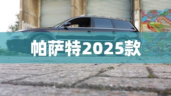 帕萨特2025款  第1张