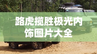 路虎揽胜极光内饰图片大全  第1张