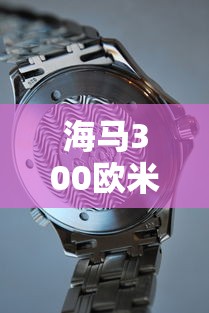 海马300欧米茄  第1张