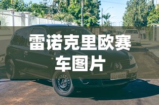 雷诺克里欧赛车图片  第1张