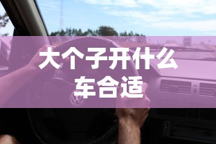 大个子开什么车合适  第1张