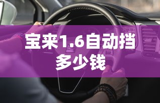 宝来1.6自动挡多少钱  第1张