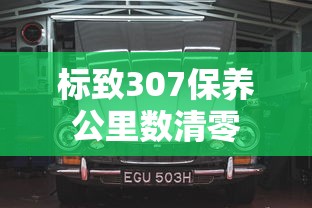 标致307保养公里数清零  第1张