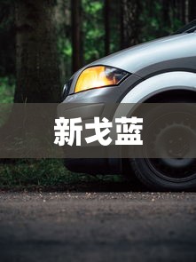 新戈蓝  第1张