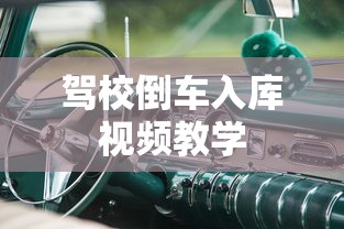 驾校倒车入库视频教学  第1张