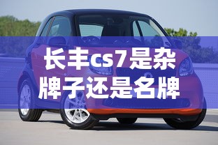 长丰cs7是杂牌子还是名牌  第1张