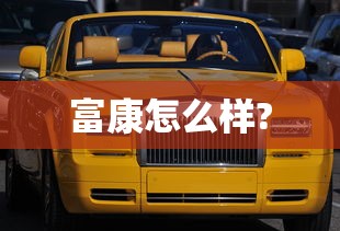 富康怎么样?  第1张