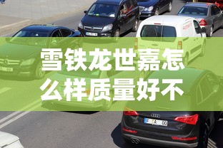 雪铁龙世嘉怎么样质量好不好  第1张