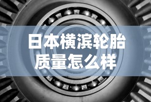 日本横滨轮胎质量怎么样  第1张