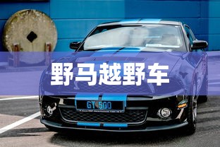 野马越野车  第1张