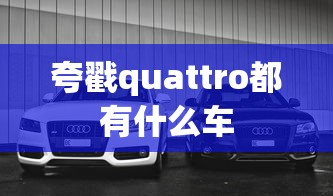 夸戳quattro都有什么车  第1张