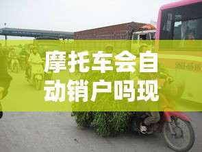 摩托车会自动销户吗现在  第1张