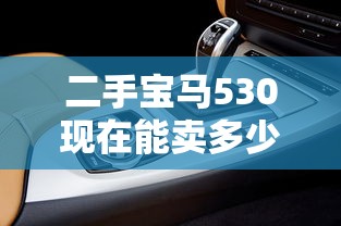二手宝马530现在能卖多少钱  第1张