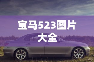 宝马523图片大全  第1张
