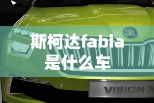 斯柯达fabia是什么车  第1张
