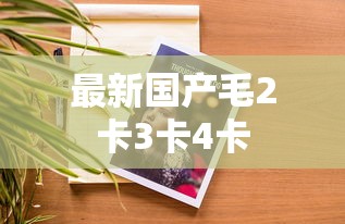 最新国产毛2卡3卡4卡  第1张