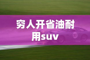 穷人开省油耐用suv  第1张