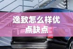 逸致怎么样优点缺点  第1张