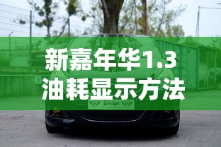 新嘉年华1.3 油耗显示方法  第1张