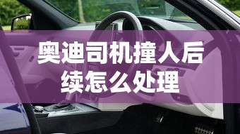 奥迪司机撞人后续怎么处理  第1张