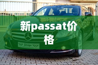 新passat价格  第1张