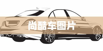 尚酷车图片  第1张