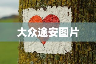 大众途安图片  第1张