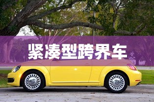 紧凑型跨界车  第1张