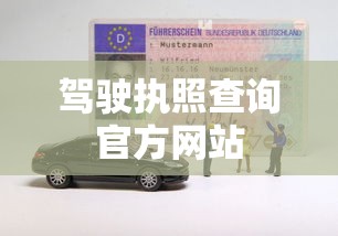 驾驶执照查询官方网站  第1张