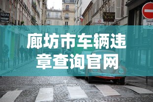 廊坊市车辆违章查询官网  第1张