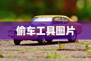 偷车工具图片  第1张